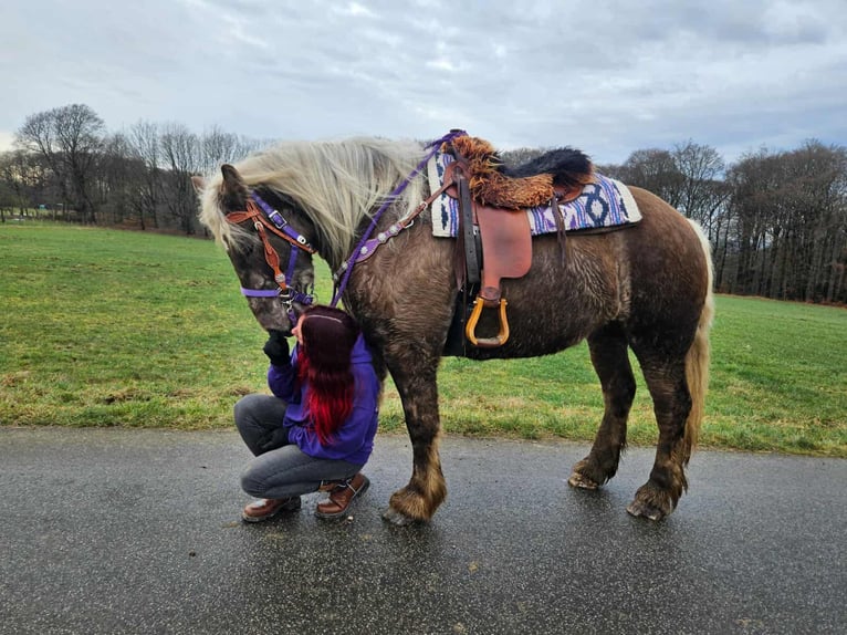 Other Heavy Horses Gelding 4 years 15,1 hh Chestnut in Linkenbach