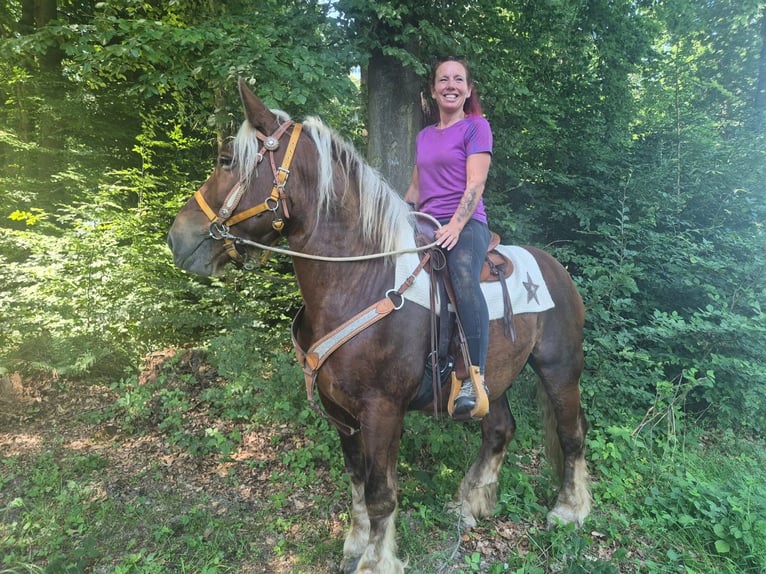 Other Heavy Horses Gelding 5 years 15.2 hh Chestnut in Linkenbach