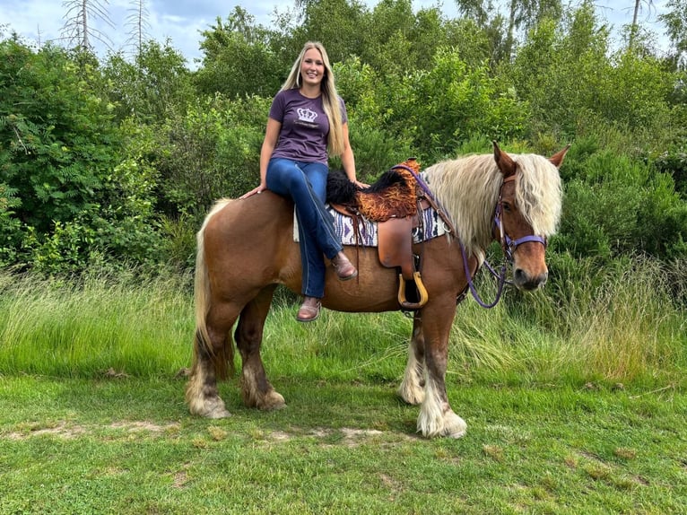 Other Heavy Horses Mare 10 years 15 hh Chestnut in Linkenbach
