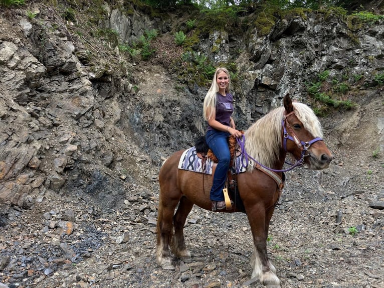 Other Heavy Horses Mare 10 years 15 hh Chestnut in Linkenbach