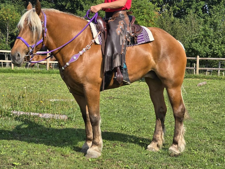 Other Heavy Horses Mare 8 years 16 hh Chestnut-Red in Linkenbach
