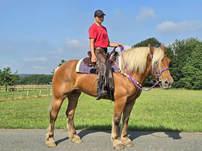 Other Heavy Horses Mare 8 years 16 hh Chestnut-Red in Linkenbach
