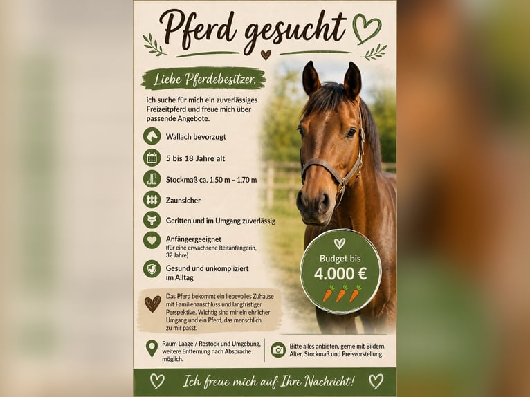 Other Warmbloods Mix Gelding 14 years  in Laage