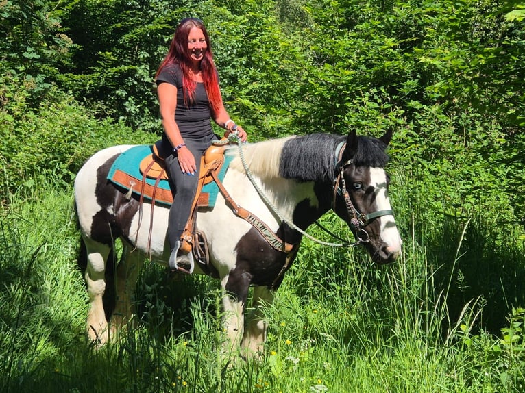 Otras razas Caballo castrado 7 años 153 cm Pío in Linkenbach