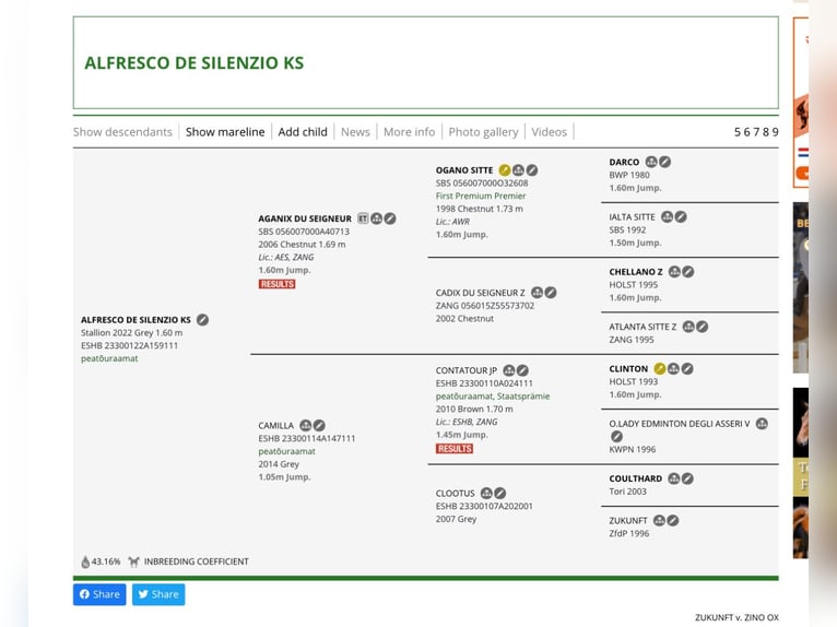 Otras razas Semental 3 años 161 cm Tordo in Kalmaru