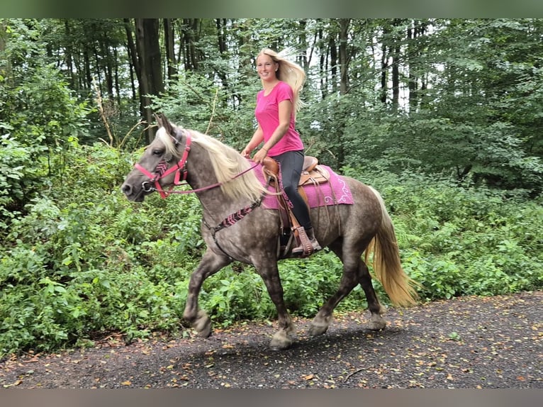 Otras razas Yegua 5 años 155 cm Alazán-tostado in Linkenbach