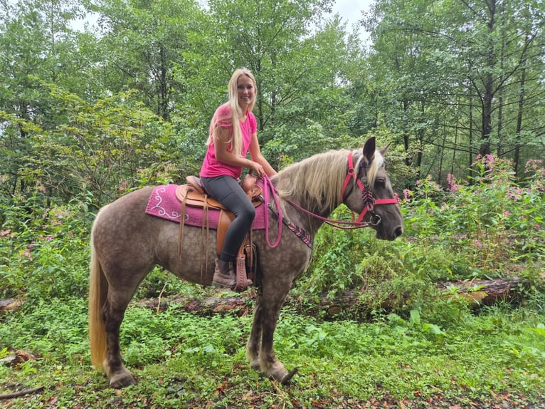 Otras razas Yegua 5 años 155 cm Alazán-tostado in Linkenbach