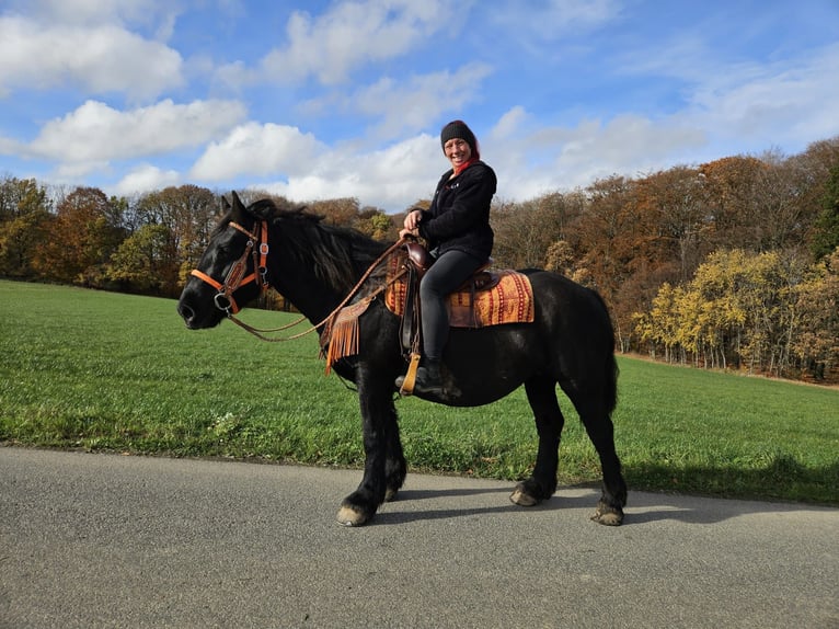 Otras razas Yegua 6 años 152 cm Negro in Linkenbach