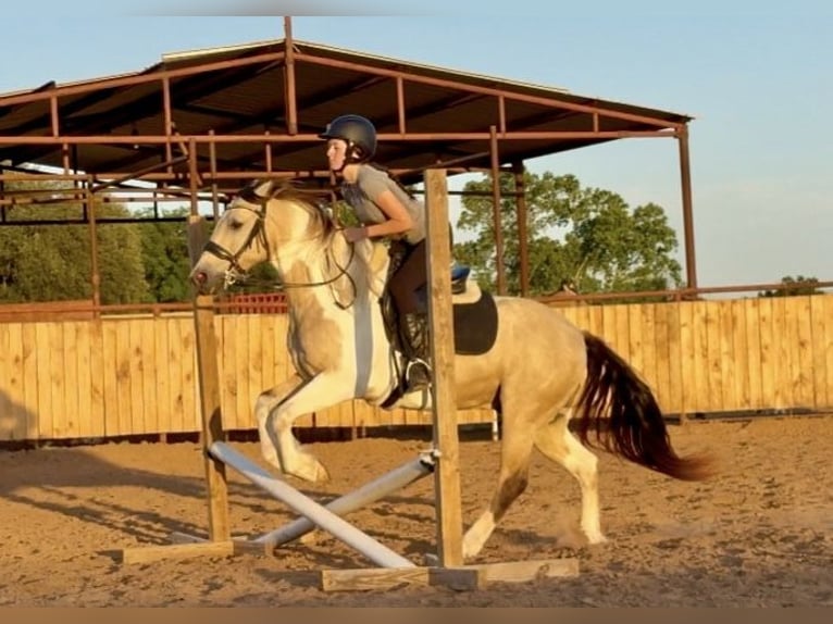 Paint Horse Caballo castrado 10 años 147 cm in Weatherford, TX
