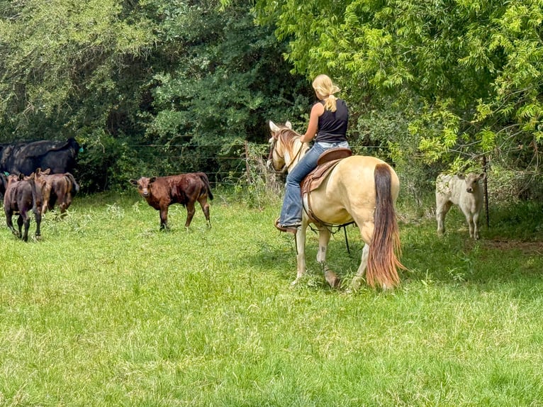 Paint Horse Caballo castrado 10 años 147 cm in Weatherford, TX