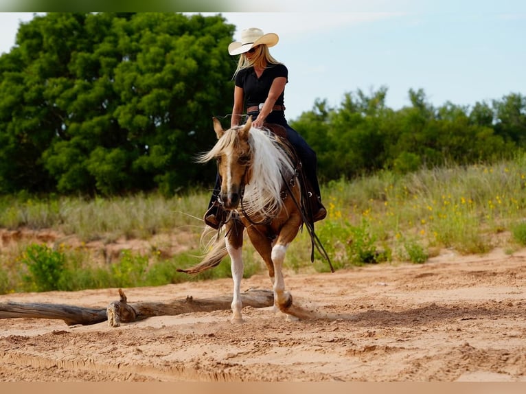 Paint Horse Caballo castrado 10 años 150 cm Tobiano-todas las-capas in Amarillo, TX