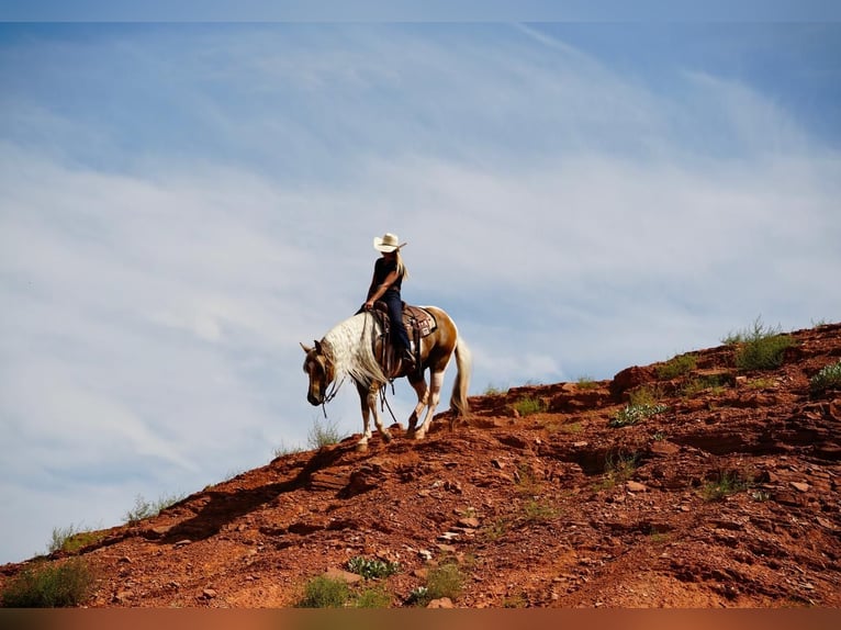 Paint Horse Caballo castrado 10 años 150 cm Tobiano-todas las-capas in Amarillo, TX