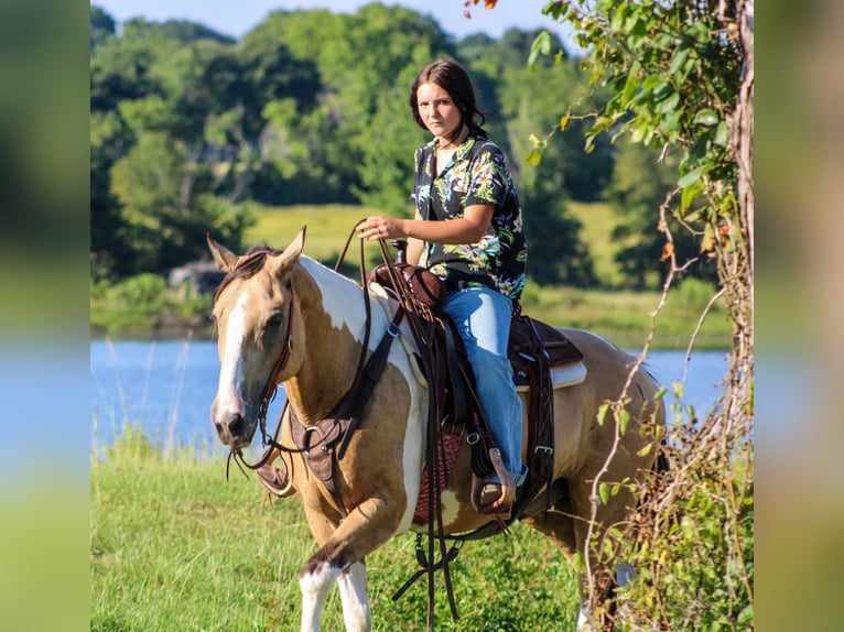 Paint Horse Caballo castrado 12 años 147 cm Buckskin/Bayo in Willis Point TX