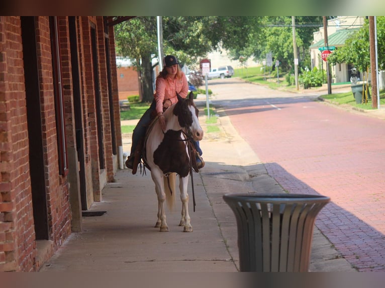 Paint Horse Caballo castrado 12 años 150 cm Tobiano-todas las-capas in Rusk TX