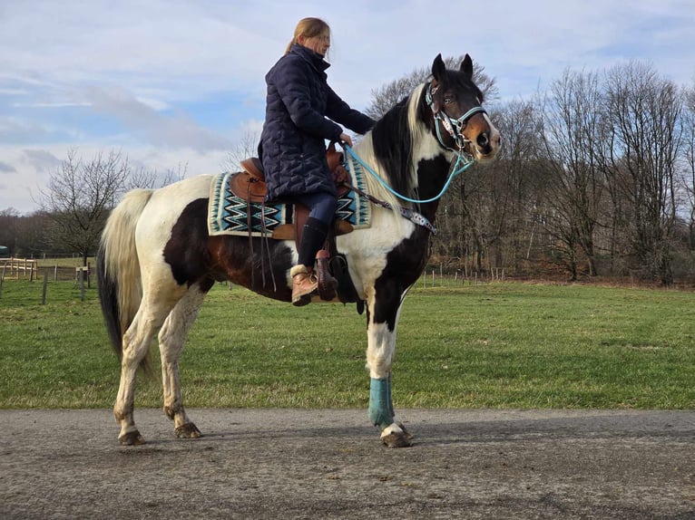 Paint Horse Caballo castrado 5 años 156 cm Pío in Linkenbach