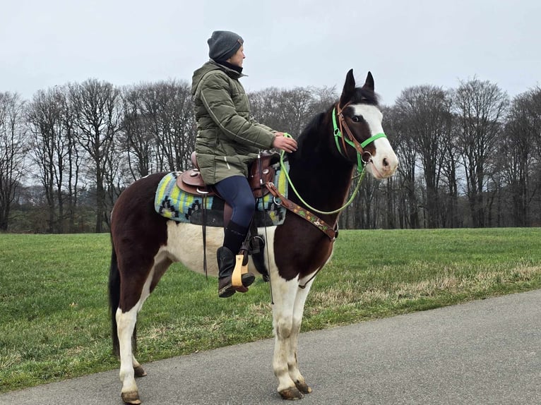 Paint Horse Mestizo Caballo castrado 7 años 142 cm Pío in Linkenbach