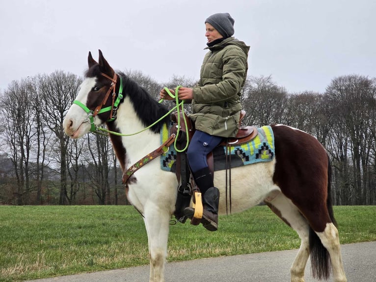 Paint Horse Mestizo Caballo castrado 7 años 142 cm Pío in Linkenbach