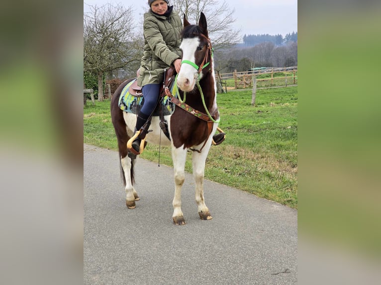 Paint Horse Mestizo Caballo castrado 7 años 142 cm Pío in Linkenbach