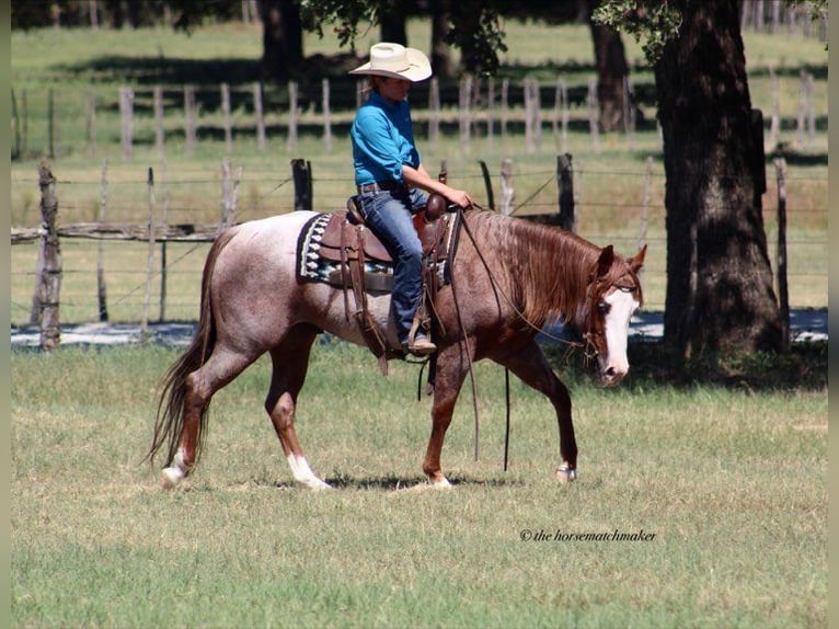 Paint Horse Caballo castrado 7 años 152 cm Ruano alazán in Milsap TX