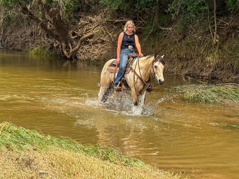 Paint Horse Castrone 10 Anni 147 cm in Weatherford, TX