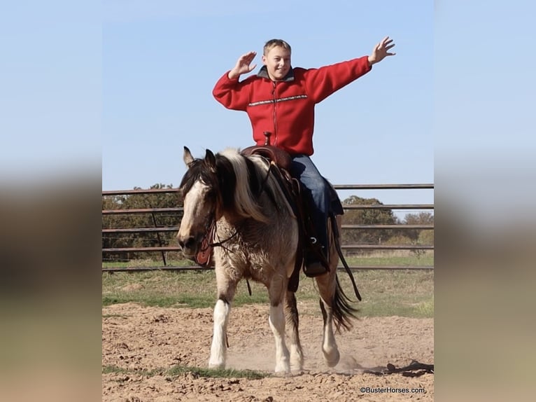 Paint Horse Gelding 12 years 13,2 hh Buckskin in weatherford TX