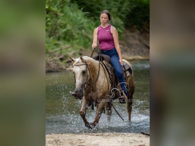 Paint Horse Gelding 4 years 14 hh Palomino in Auburn, KY