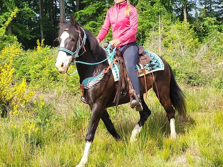Paint Horse Mix Gelding 7 years 15 hh Pinto in Linkenbach