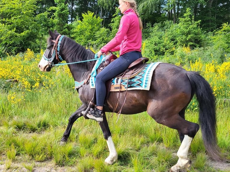 Paint Horse Mix Gelding 7 years 15 hh Pinto in Linkenbach