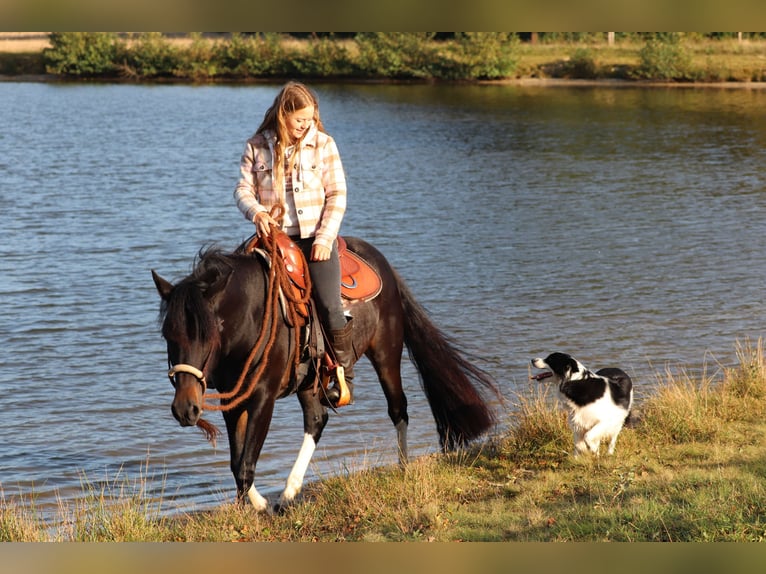 Paint Horse Mix Giumenta 3 Anni 149 cm in Oberhausen