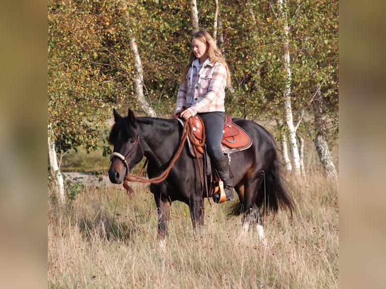 Paint Horse Mix Giumenta 3 Anni 149 cm in Oberhausen