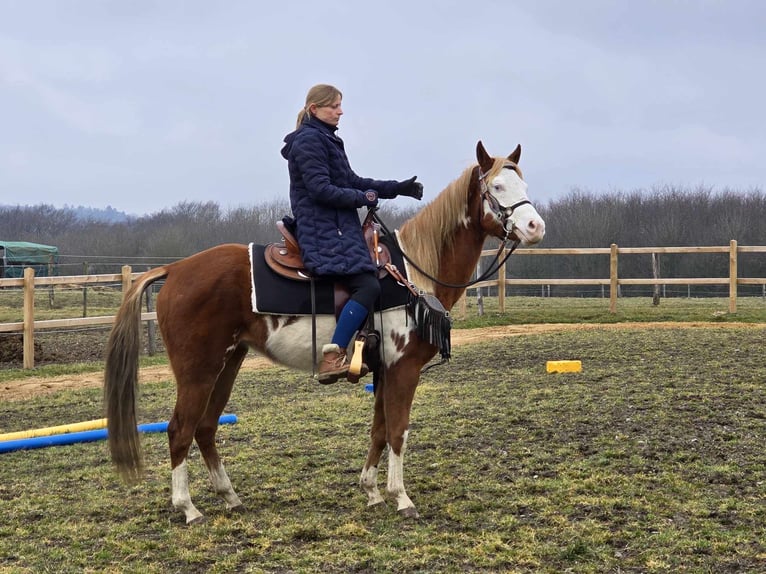 Paint Horse Mix Giumenta 4 Anni 150 cm Pezzato in Linkenbach