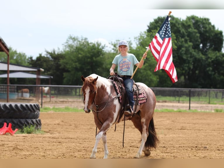 Paint Horse Giumenta 4 Anni 152 cm Roano rosso in Pilot Point, TX