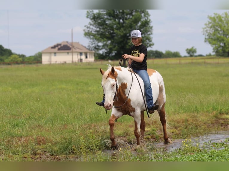 Paint Horse Hongre 10 Ans 152 cm Pinto in Pilot Point