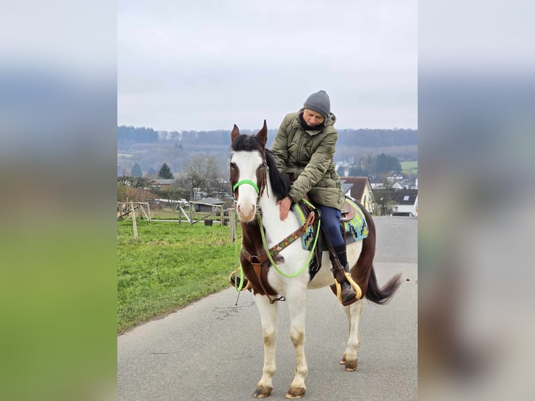 Paint Horse Croisé Hongre 7 Ans 142 cm Pinto in Linkenbach