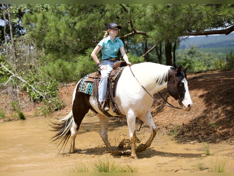 Paint Horse Hongre 9 Ans 163 cm Tobiano-toutes couleurs in Lufkin, TX