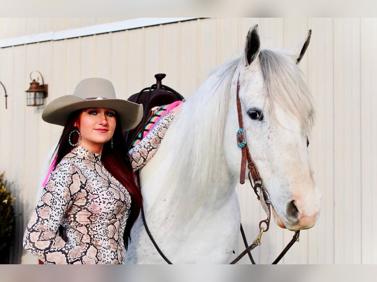 Paint Horse Jument 13 Ans 152 cm Gris in Battle Creek, IA