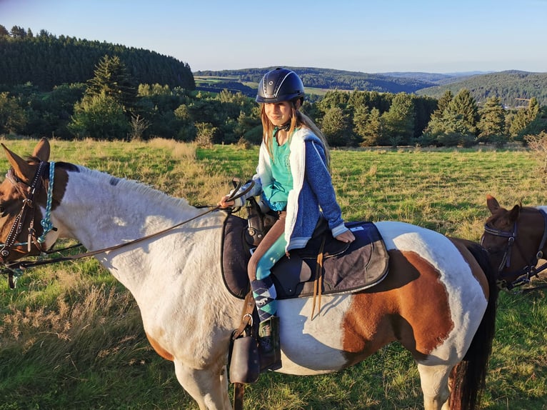 Paint Horse Jument 15 Ans 153 cm Overo-toutes couleurs in BETTELDORF