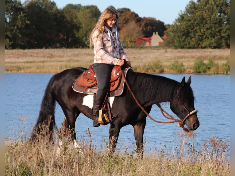 Paint Horse Croisé Jument 3 Ans 149 cm in Oberhausen