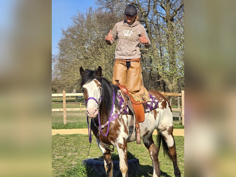 Paint Horse Jument 6 Ans 151 cm Pinto in Linkenbach
