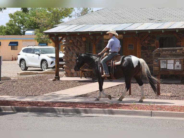 Paint Horse Klacz 12 lat 150 cm Tobiano wszelkich maści in Camp Verde Az