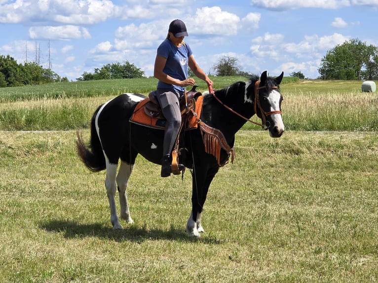 Paint Horse Mix Klacz 3 lat 146 cm Srokata in Linkenbach