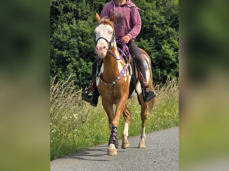 Paint Horse Klacz 4 lat 150 cm Overo wszelkich maści in Linkenbach