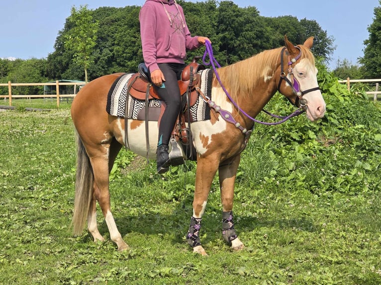 Paint Horse Klacz 4 lat 150 cm Overo wszelkich maści in Linkenbach