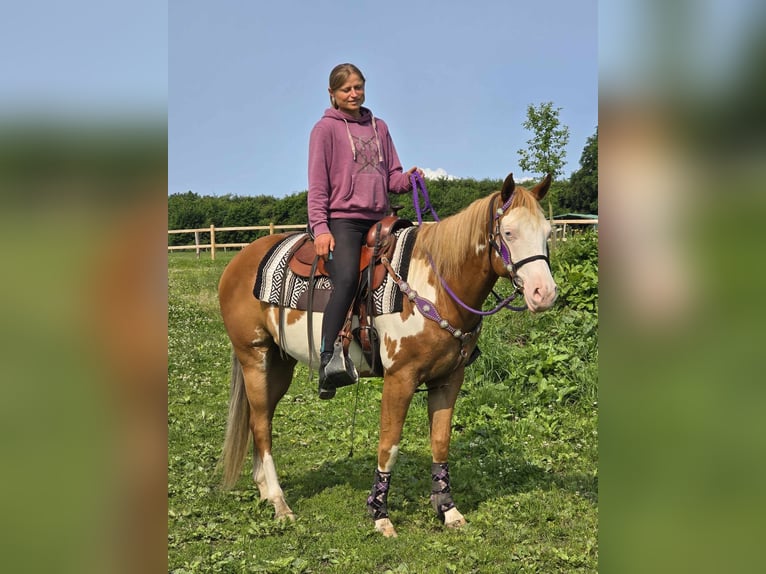 Paint Horse Klacz 4 lat 150 cm Overo wszelkich maści in Linkenbach