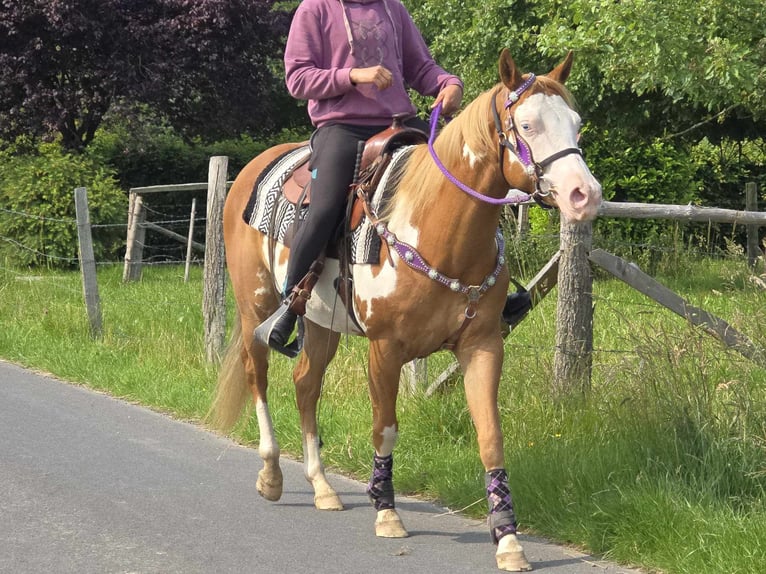 Paint Horse Klacz 4 lat 150 cm Overo wszelkich maści in Linkenbach