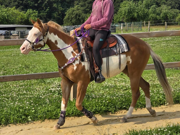 Paint Horse Klacz 4 lat 150 cm Overo wszelkich maści in Linkenbach