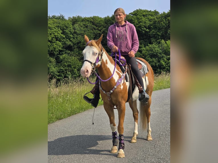 Paint Horse Klacz 4 lat 150 cm Overo wszelkich maści in Linkenbach