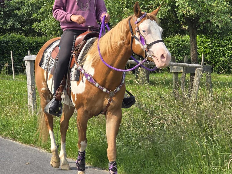 Paint Horse Klacz 4 lat 150 cm Overo wszelkich maści in Linkenbach