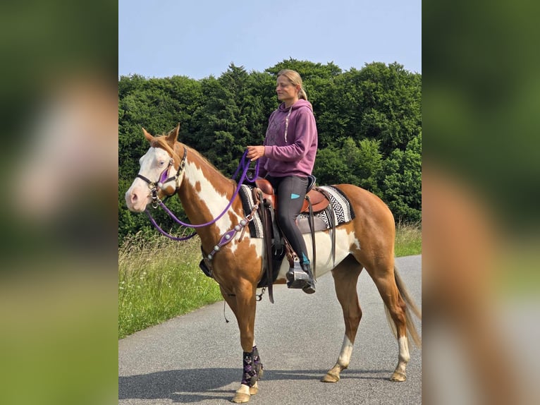 Paint Horse Klacz 4 lat 150 cm Overo wszelkich maści in Linkenbach