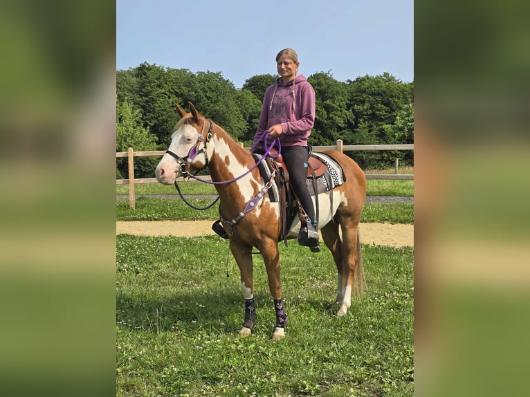 Paint Horse Klacz 4 lat 150 cm Overo wszelkich maści in Linkenbach
